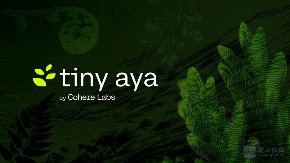 Tiny Aya模型使用入口,Cohere Labs正式发布的开源多语言模型